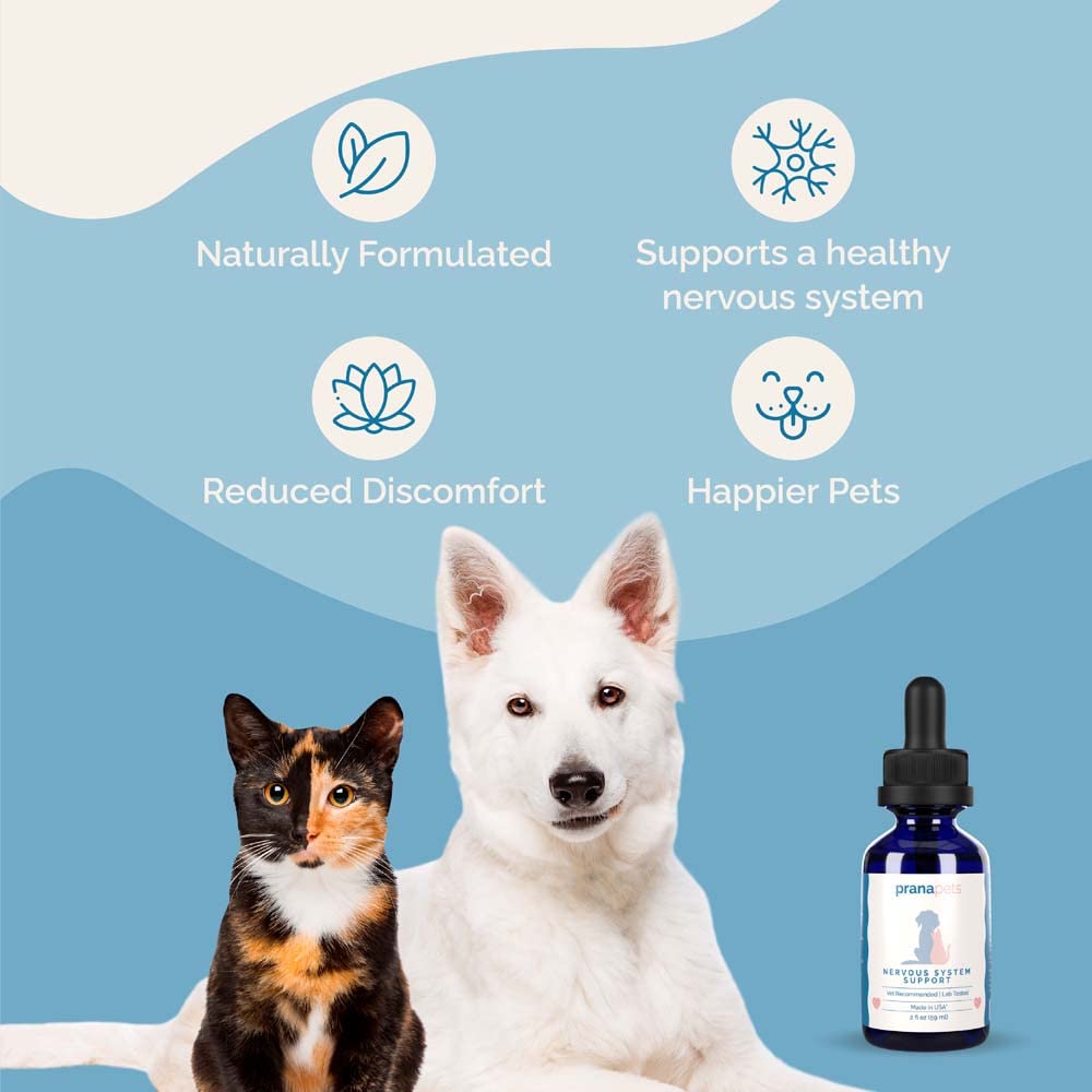Herbal Formula for Dogs and Cats 2 Pack H4587