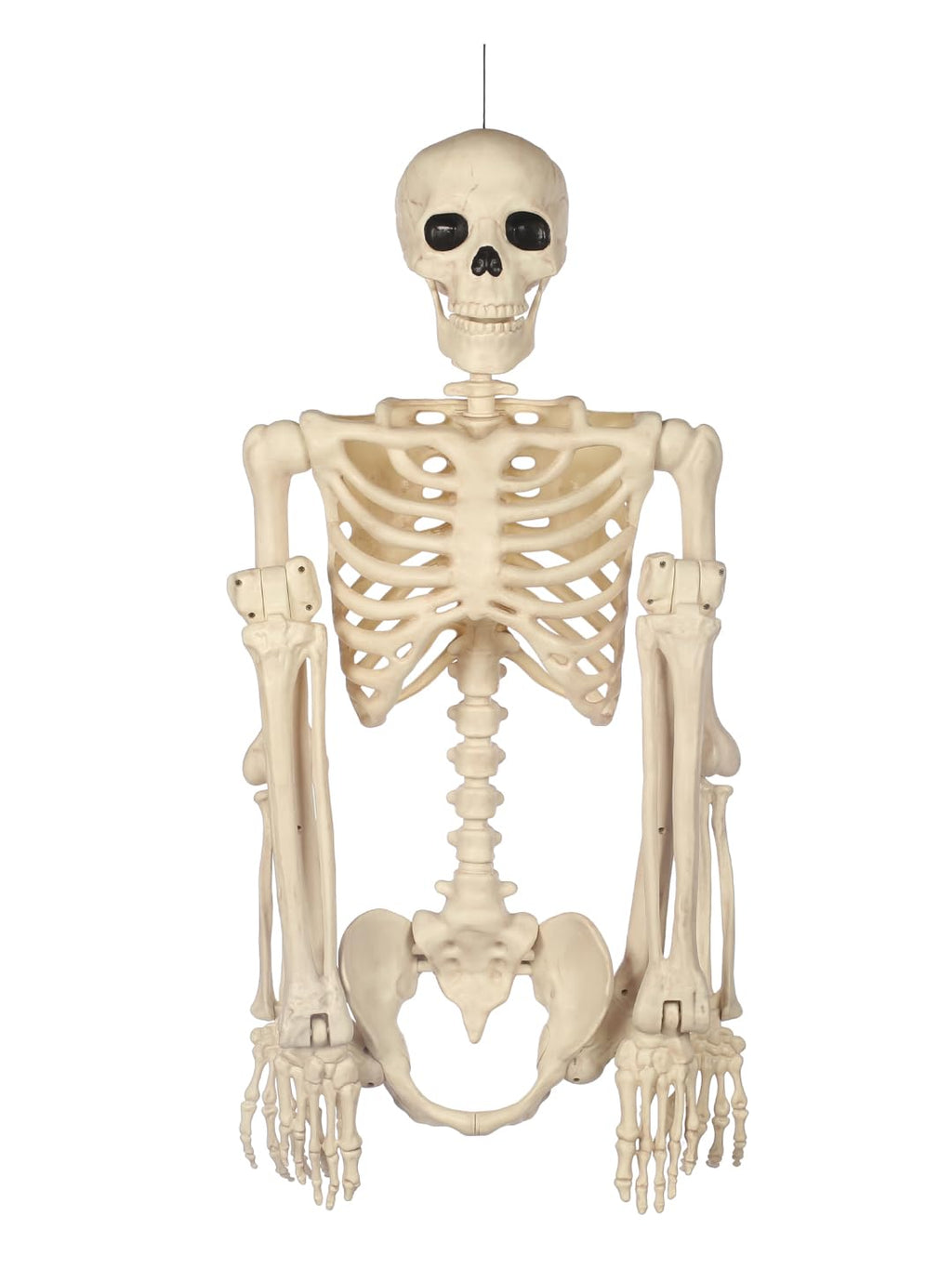 5FT Life Size Posable Skeleton F36192
