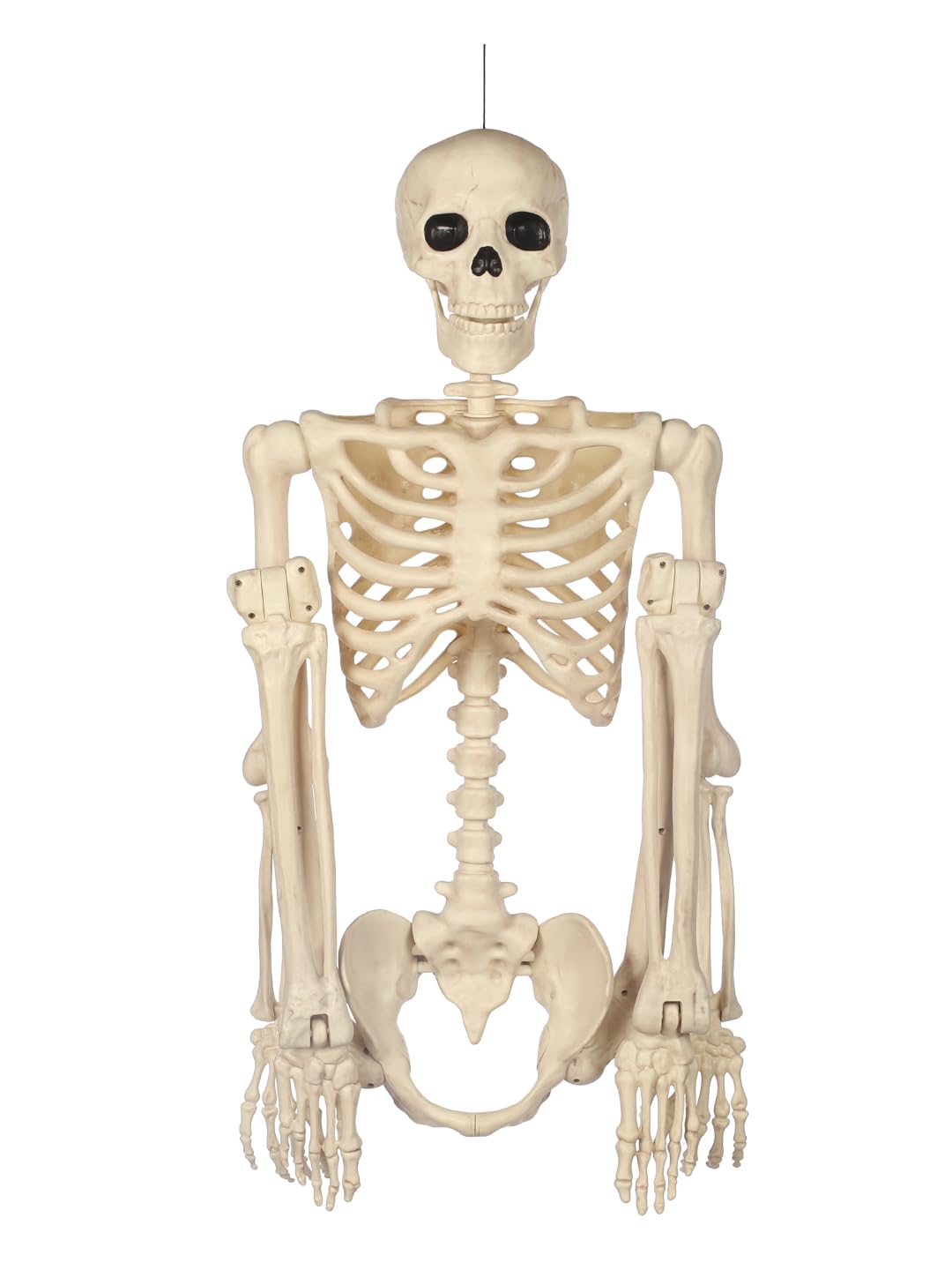 5FT Life Size Posable Skeleton F36192