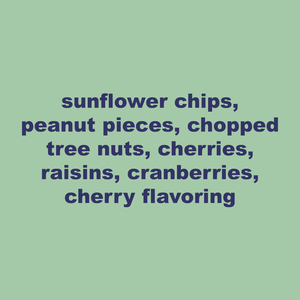 Shell Free Fruit and Nut Wild Bird Seed Mix 20 lbs G845884