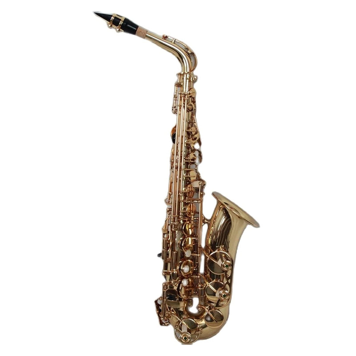 Alto Saxophone Set V5112