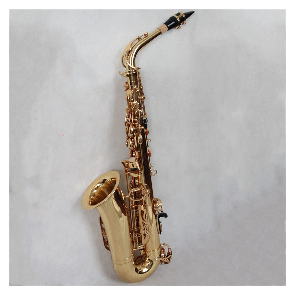 Alto Saxophone Set V5112