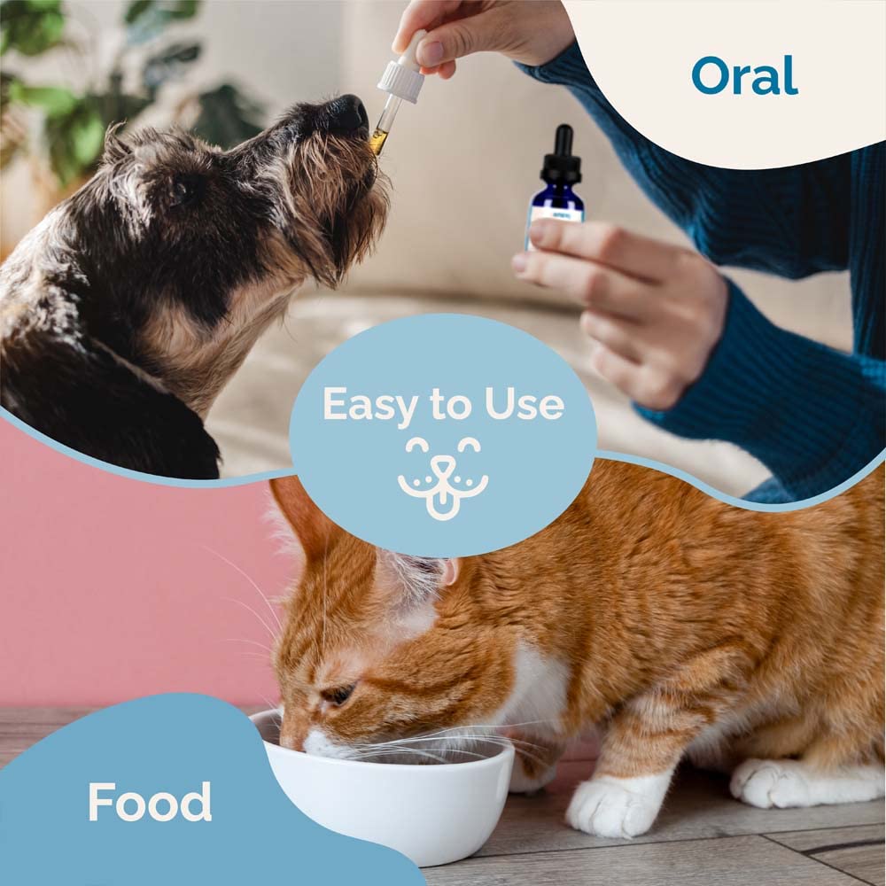 Herbal Formula for Dogs and Cats 2 Pack H4587
