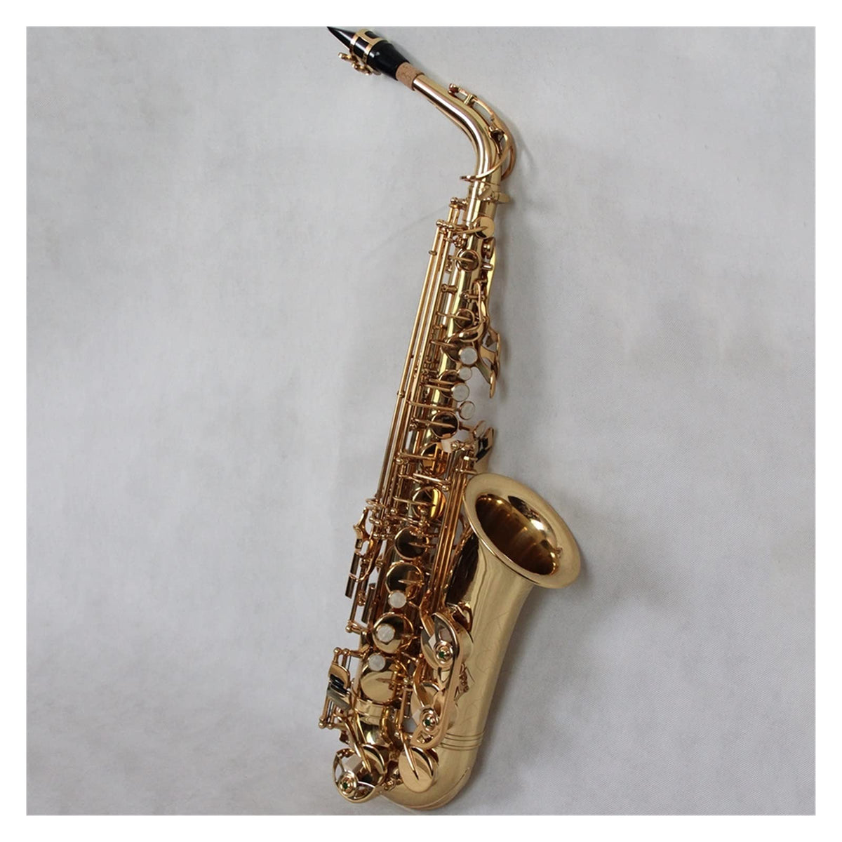 Alto Saxophone Set V5112