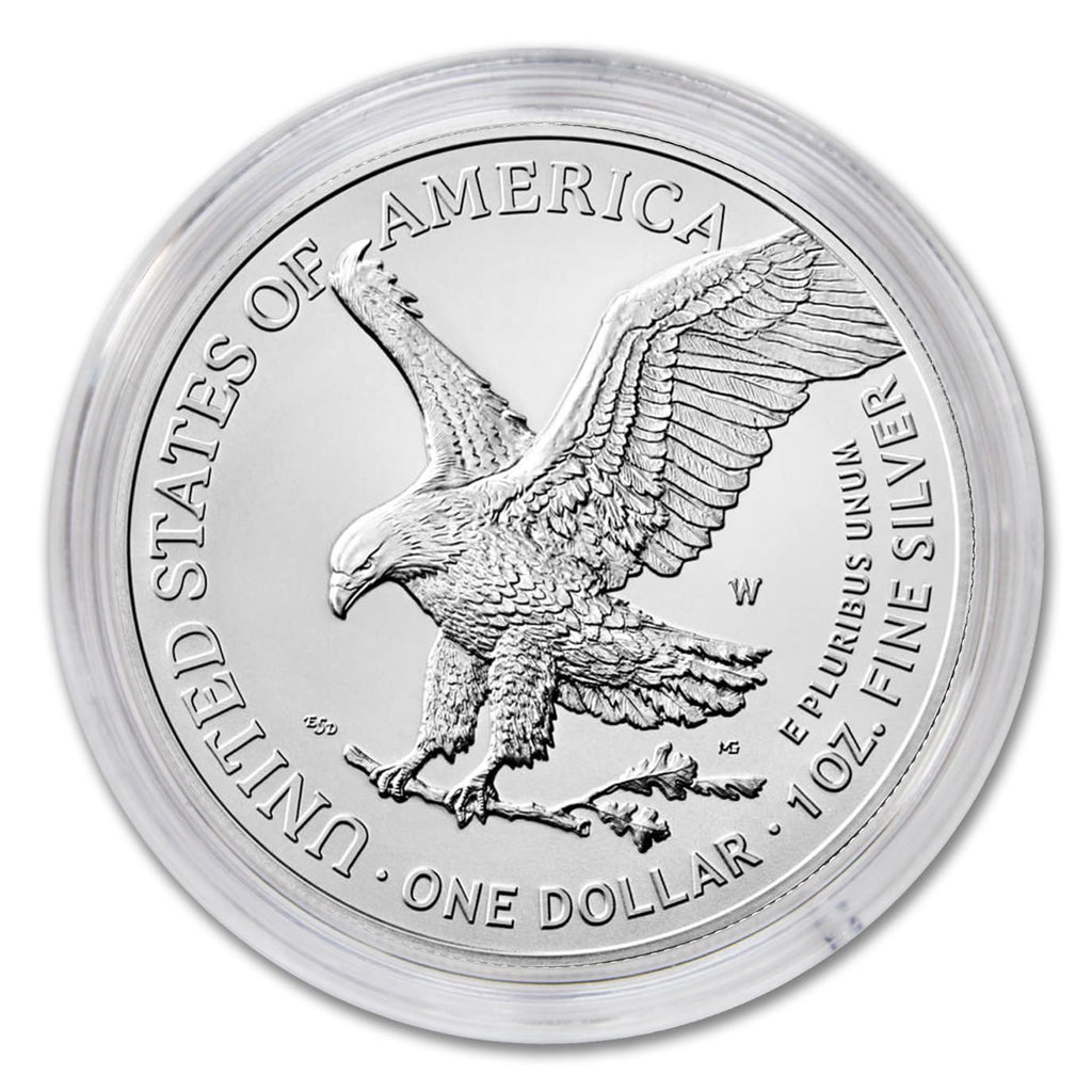 1 oz American Silver Eagle Coin H8217