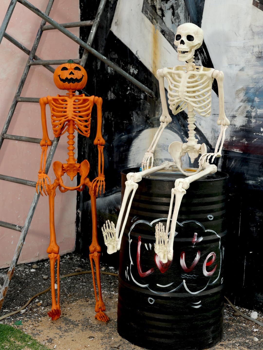 5FT Life Size Posable Skeleton F36192