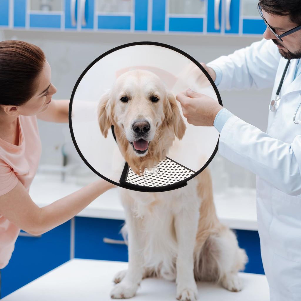 9 Pcs Adjustable Soft Dog Cone Collar Set R38937