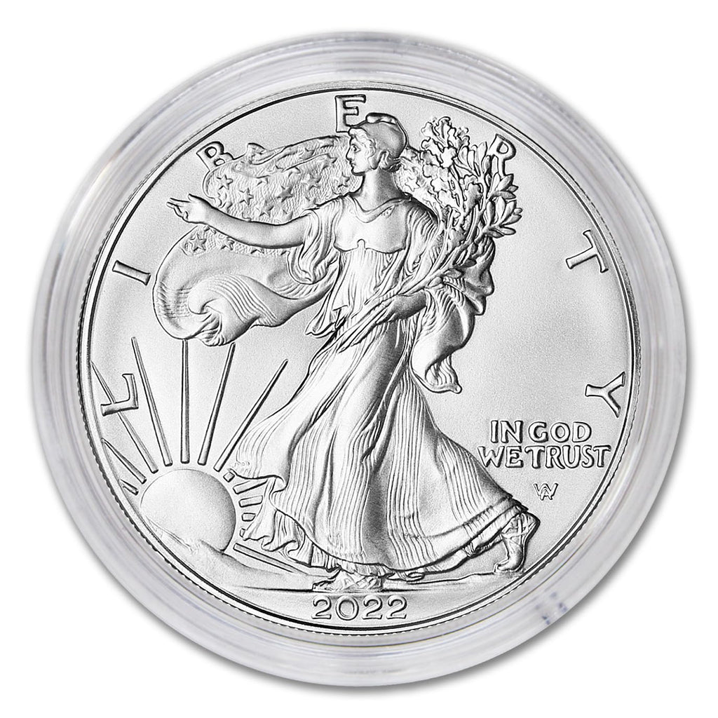 1 oz American Silver Eagle Coin H8217