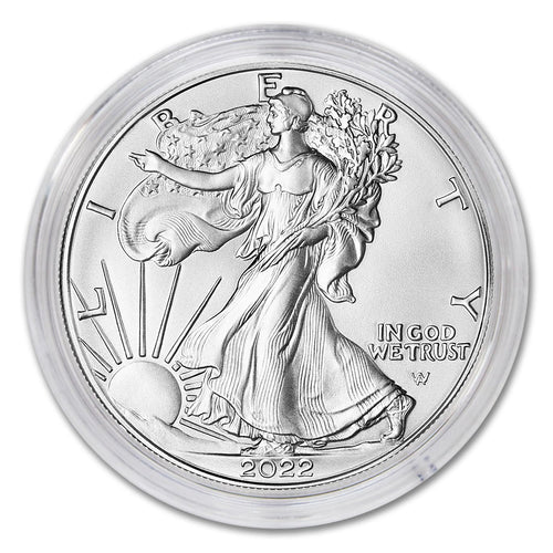 1 oz American Silver Eagle Coin H8217