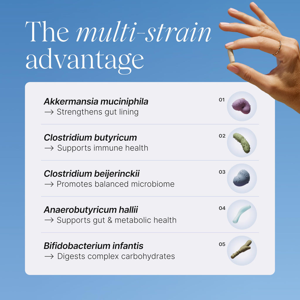 Multi-Strain Probiotic with Akkermansia muciniphila 30 Capsules E614637