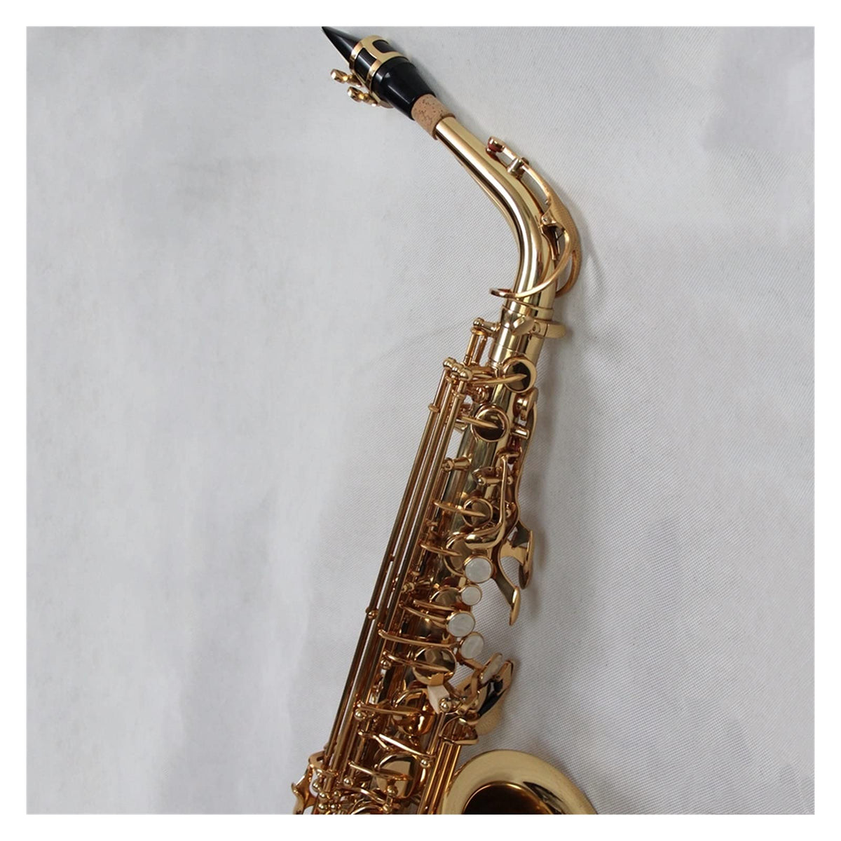 Alto Saxophone Set V5112