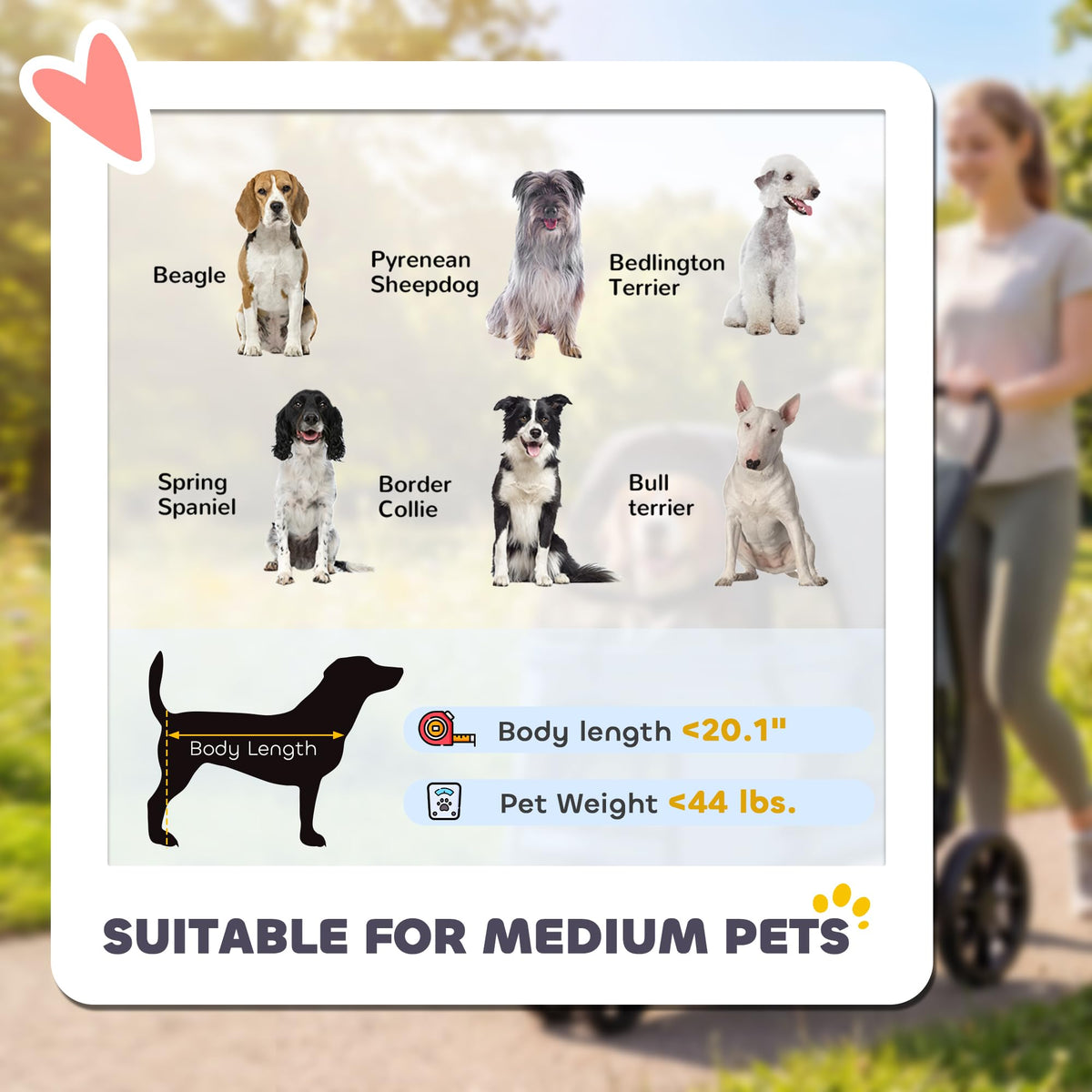 3 Wheel Pet Stroller up to 44 lbs Gray C764662