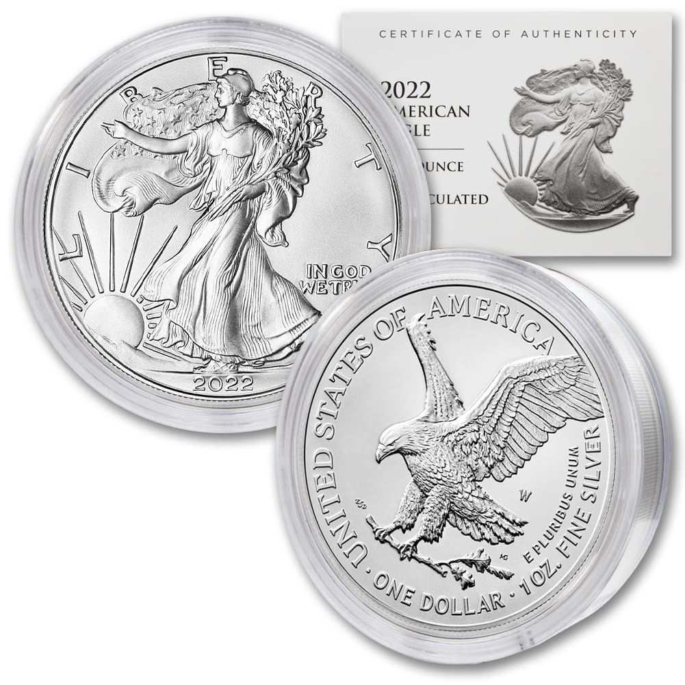 1 oz American Silver Eagle Coin H8217