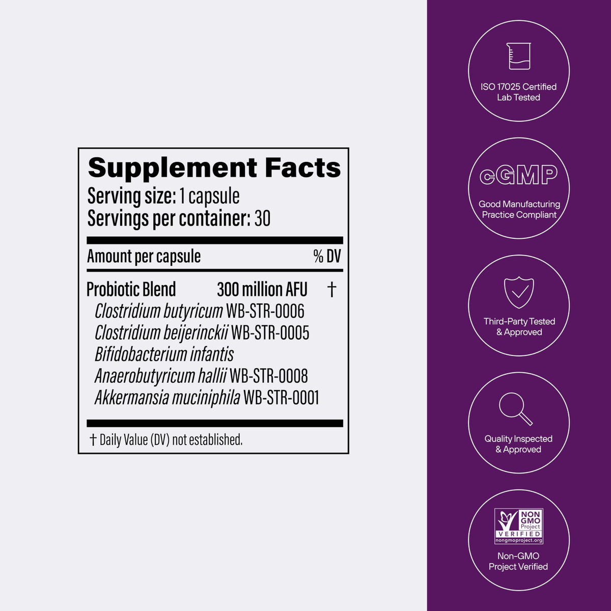 Multi-Strain Probiotic with Akkermansia muciniphila 30 Capsules E614637
