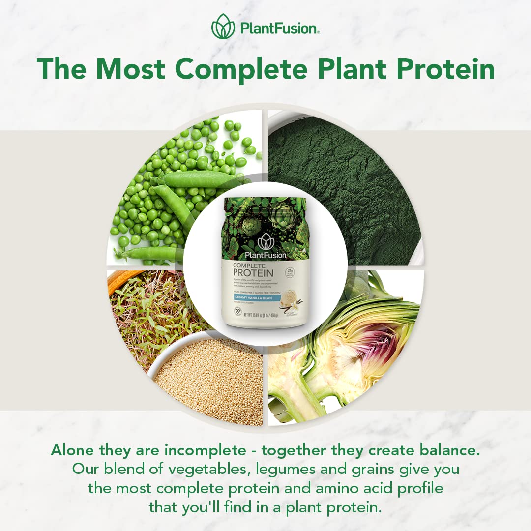 Vegan Protein Powder with BCAAs, Pea Protein, Rich Chocolate 5 lb G16323