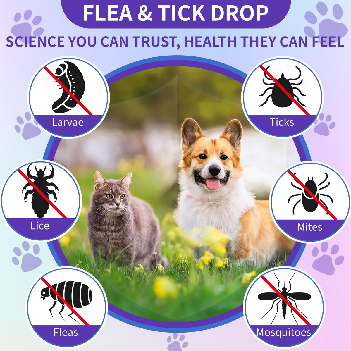 Flea and Tick Prevention Support with Multivitamin 60ml V77468