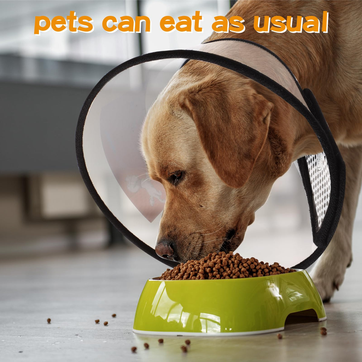 9 Pcs Adjustable Soft Dog Cone Collar Set R38937