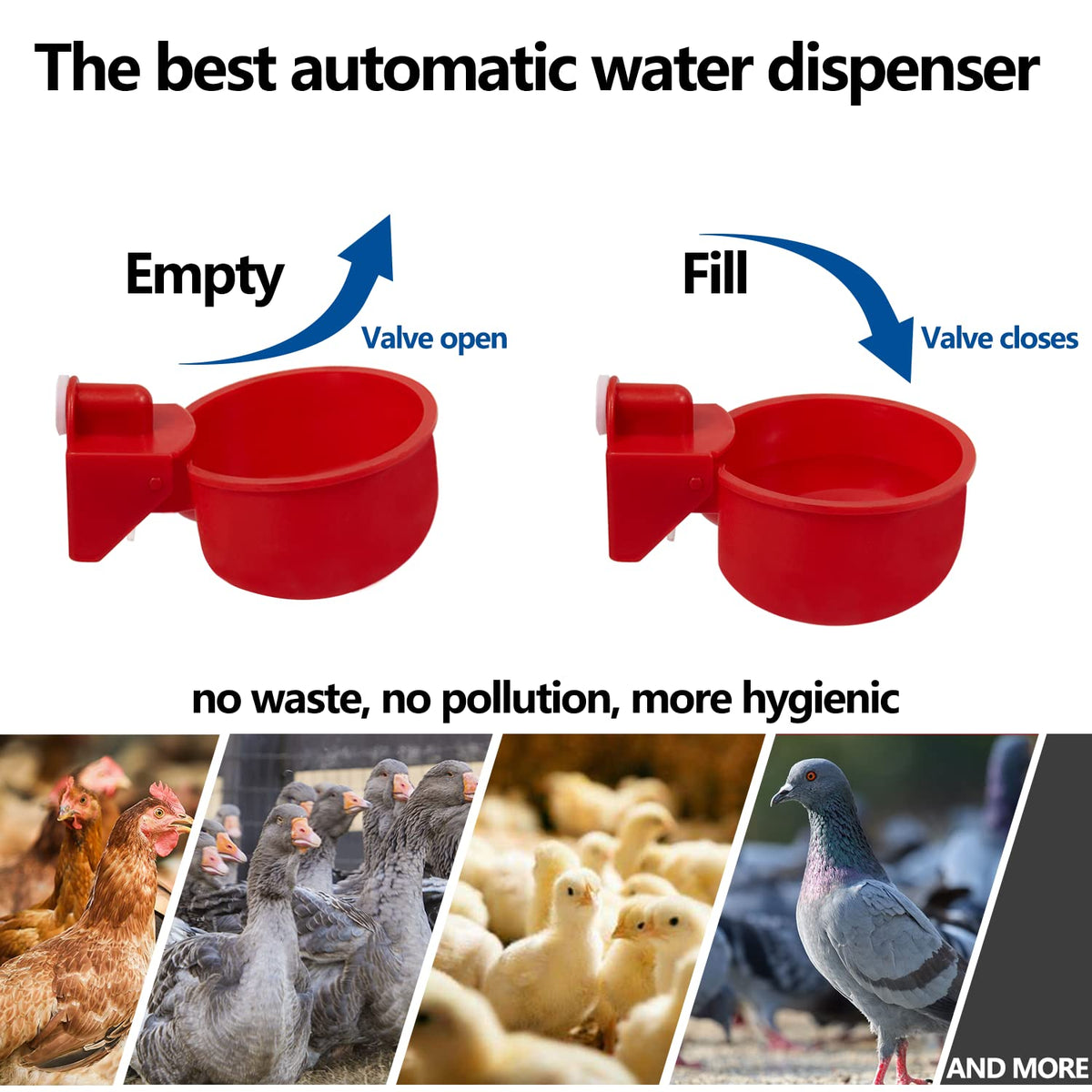 Automatic Poultry Waterer Kit 5 Gallon 12 Pack S108