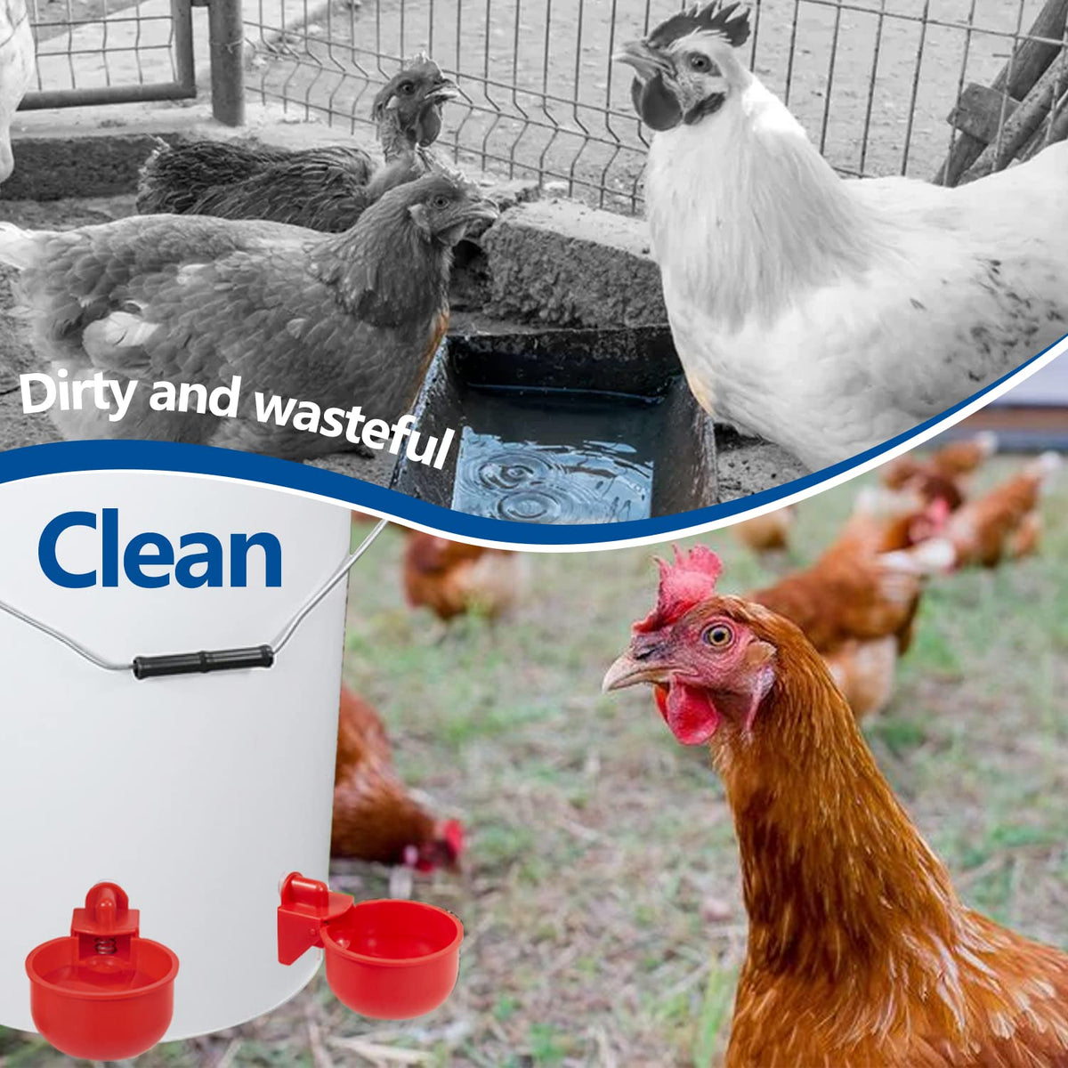 Automatic Poultry Waterer Kit 5 Gallon 12 Pack S108