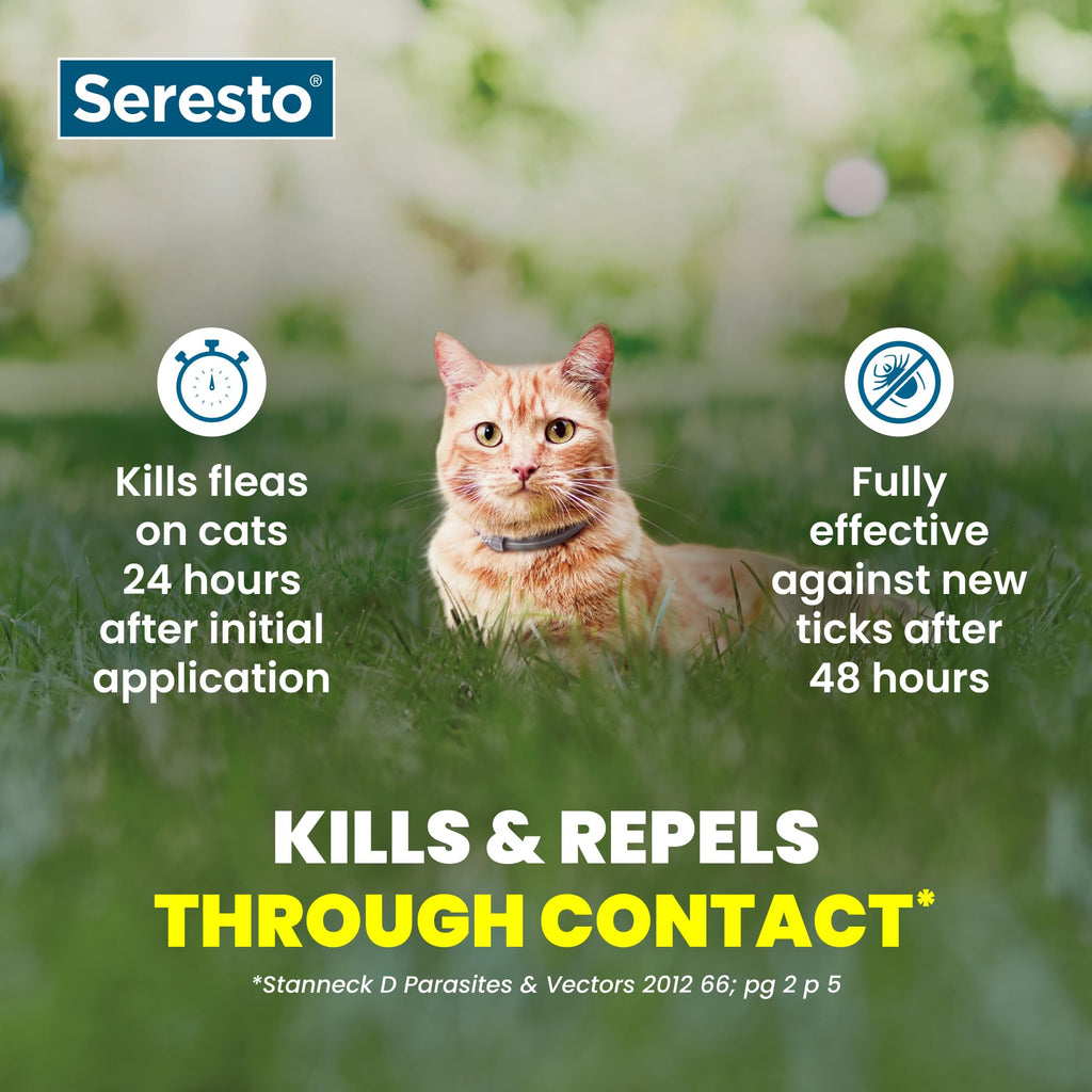 Flea & Tick Treatment & Prevention Collar for Cats T9846
