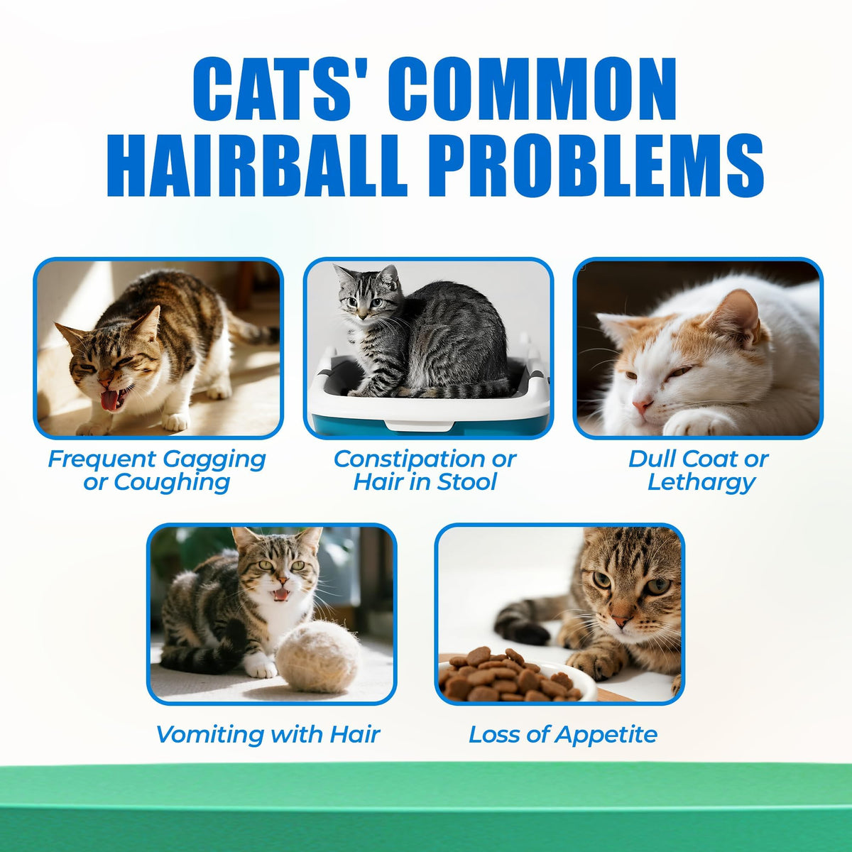 Hairball Control Cat Treats R4727
