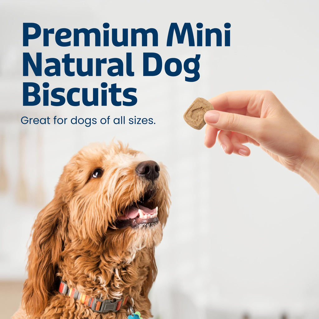 Mini Dog Biscuits P726