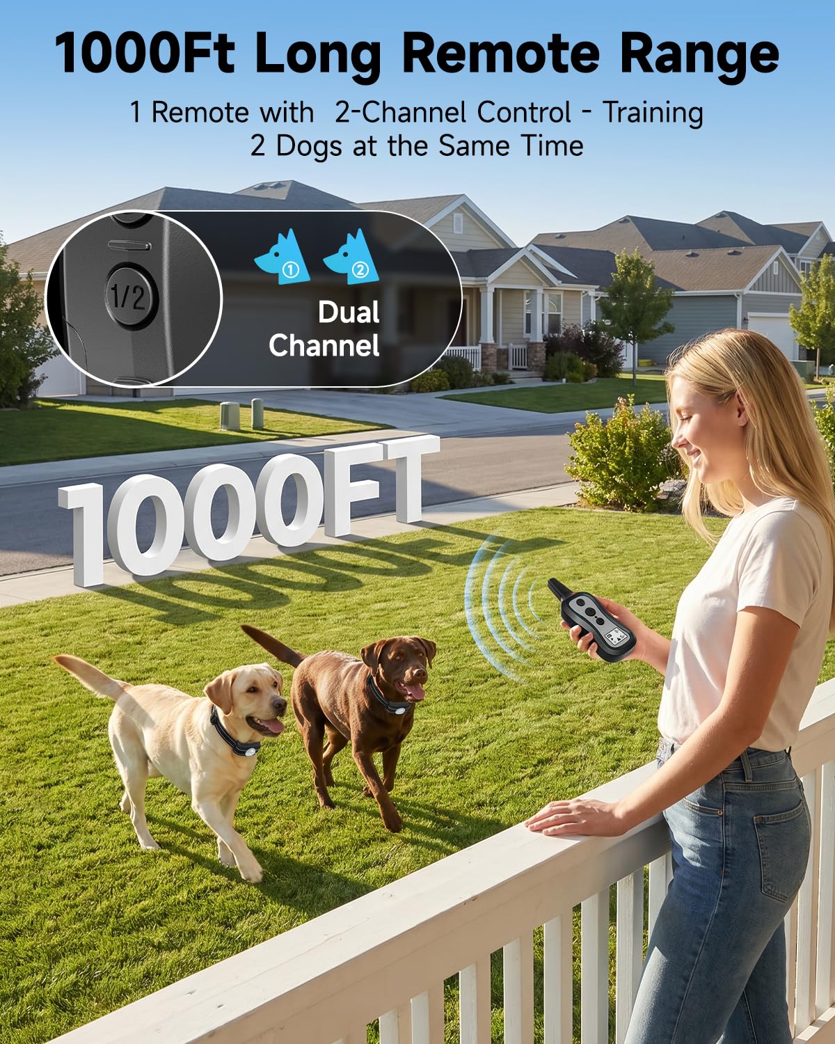 Dog Training Collar with Remote, 3 Training Modes, Rainproof H239