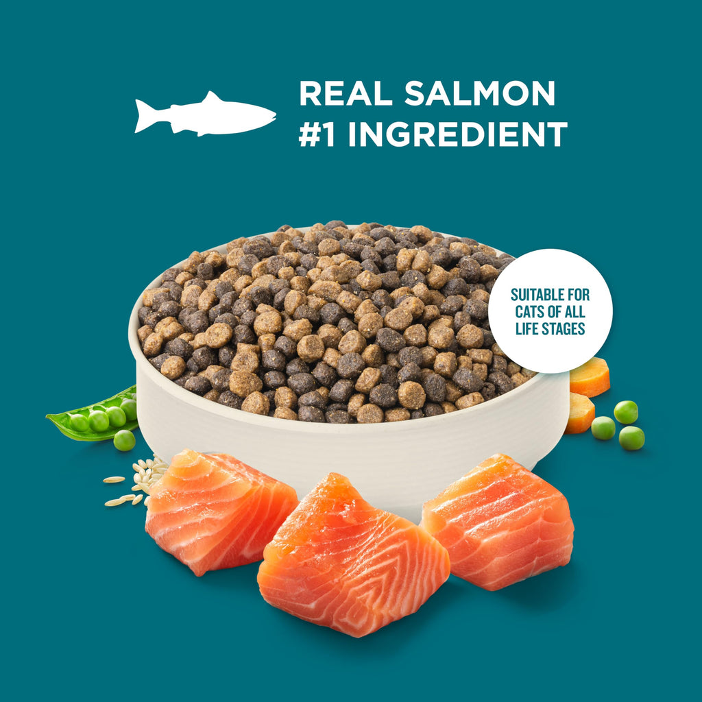 Salmon & Brown Rice Recipe Dry Cat Food 14 lb. Bag L69051