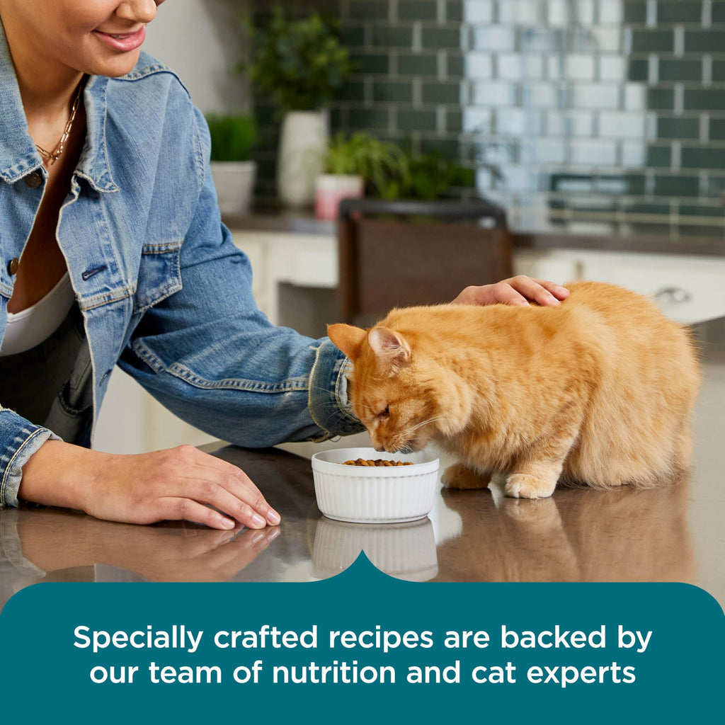 Salmon & Brown Rice Recipe Dry Cat Food 14 lb. Bag L69051