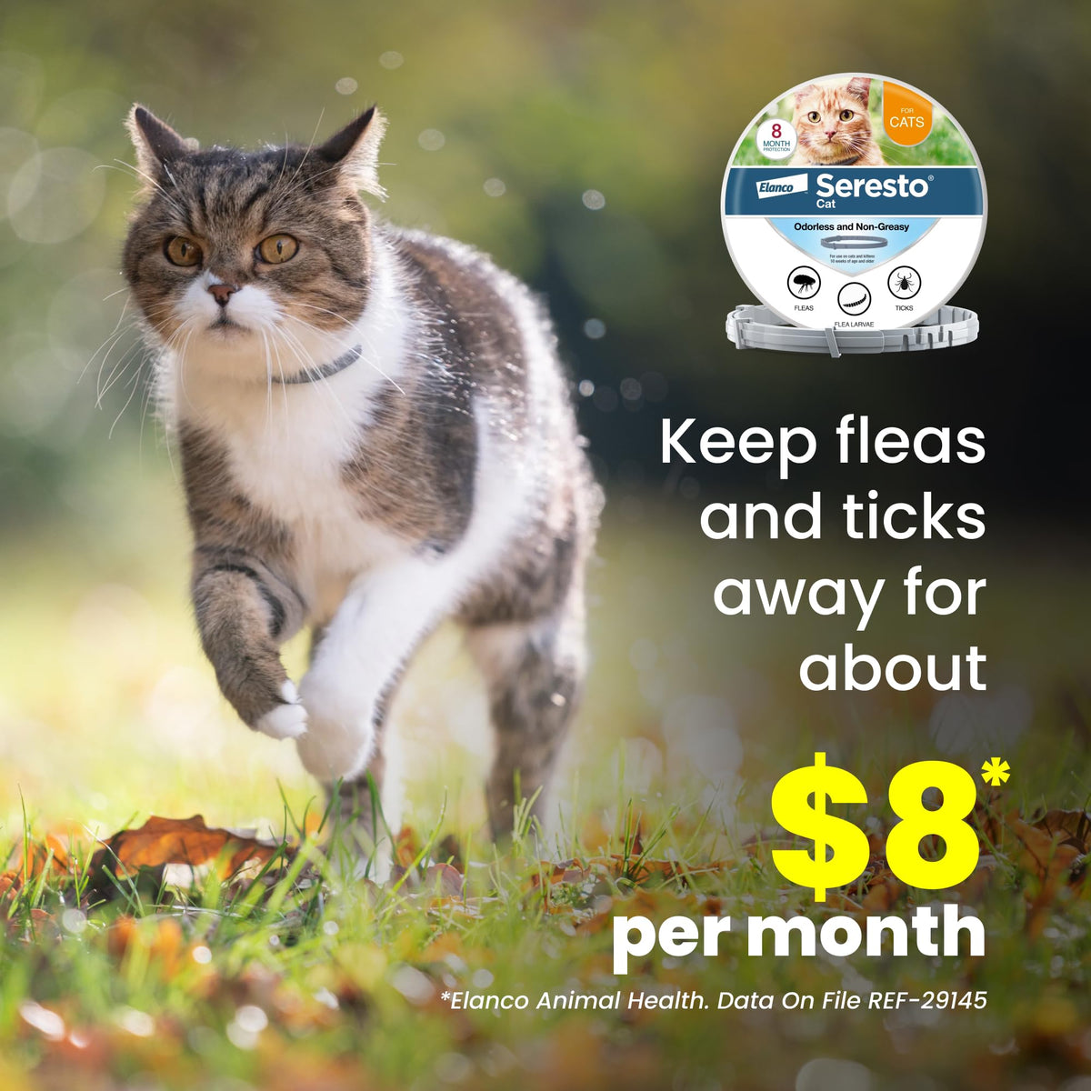 Flea & Tick Treatment & Prevention Collar for Cats T9846