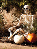 5FT Life Size Posable Skeleton F36192