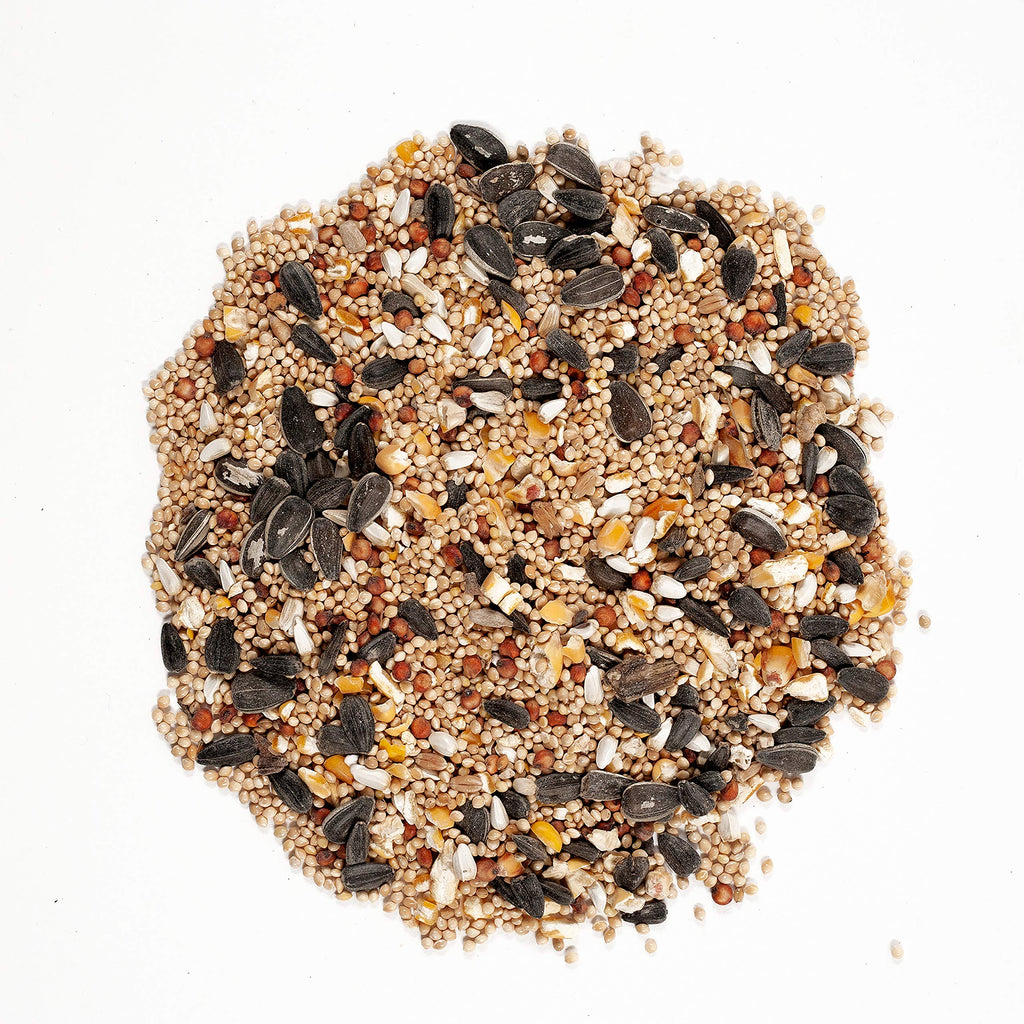20-Pound Wild Bird Food and 5 Pound Nut & Fruit Wild Bird Food O8186